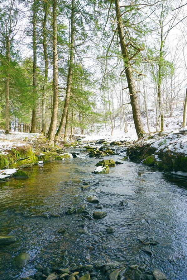 Secluded Streamside Home With Hot Tub Margaretville Eksteriør bilde