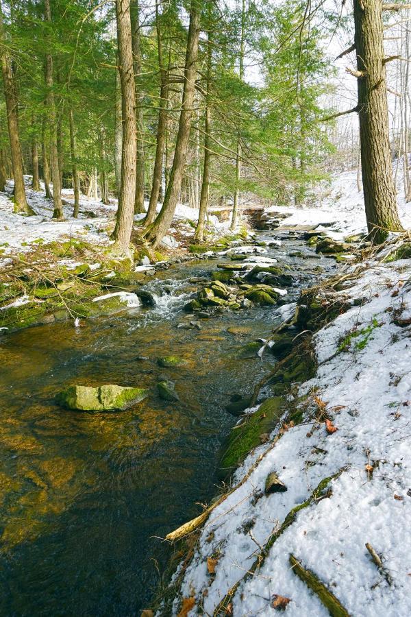 Secluded Streamside Home With Hot Tub Margaretville Eksteriør bilde