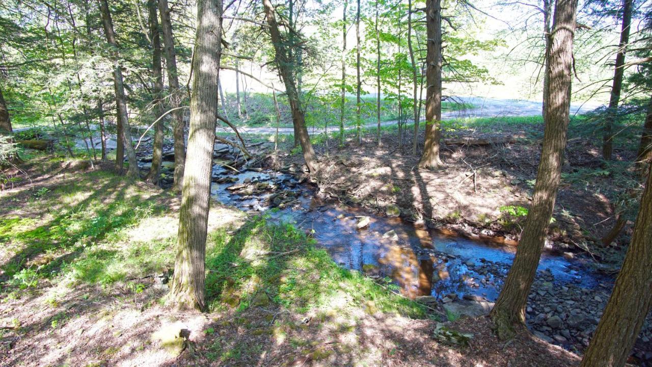 Secluded Streamside Home With Hot Tub Margaretville Eksteriør bilde