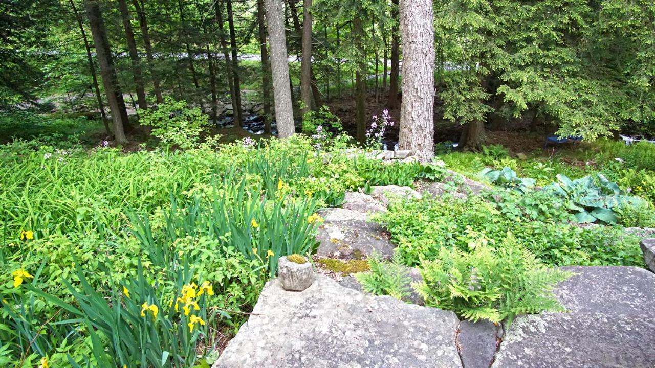 Secluded Streamside Home With Hot Tub Margaretville Eksteriør bilde